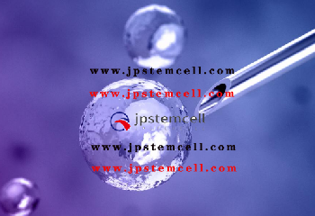 日本案例F—站起来的时候很痛，有时夜晚会痛。