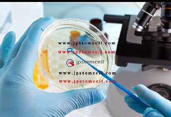 日本案例C—73岁日本女性10年前半月板受损