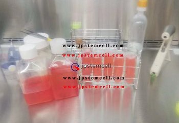 日本案例G—61岁的女性舞蹈老师膝盖的疼痛